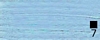 images/28-Royal-blue-M.jpg