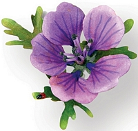 Matrita Sizzix Thinlits Flower Hardy Geranium, 9buc