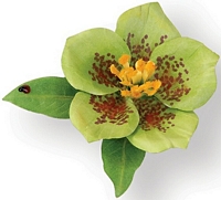 Matrita Sizzix Thinlits Flower Helleborus, 9buc