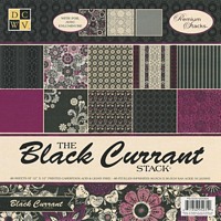 Set cartoane 12x12inch Black Current, 220gmp, 48 coli, DCWV