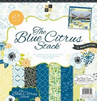 Set cartoane 12x12inch Blue Citrus, 220gmp, 48 coli, DCWV