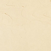 images/GMBAG1800-Culori-ulei-Artist-Oil-Paint-Gamblin---Warm-White-37ml-M.jpg