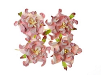 Flori hartie Gardenia pink white, d5cm, 4buc, Scrapberry